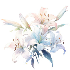 Fototapeta na wymiar beautiful watercolour of lily isolated on transparent background