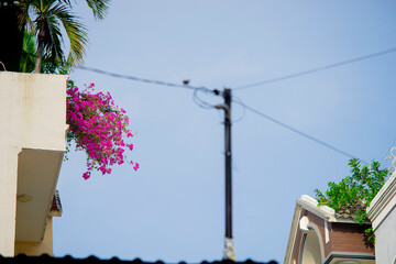 ur eyes also react differently to all colors, being less sensitive to purple light, meaning we can see more blue than purple.Blue skies are created by a number of factors,