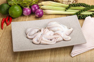 Delicous fresh raw uncooked octopus
