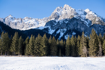 Snowfield and forest in front of Leutascher Drei-Torspitzen 2682m, Wetterstein Mountains, Austria
