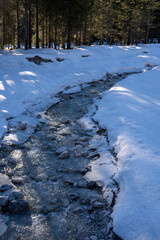 Mountain stream in the snow on a winter hike in the Leutaschtal, Tyrol, Austria