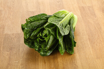 Green fresh juicy Romano salad