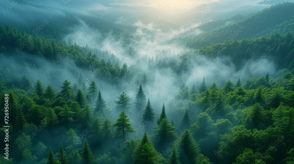 Poster foggy morning in the coniferous forest. 3d rendering - generative ai