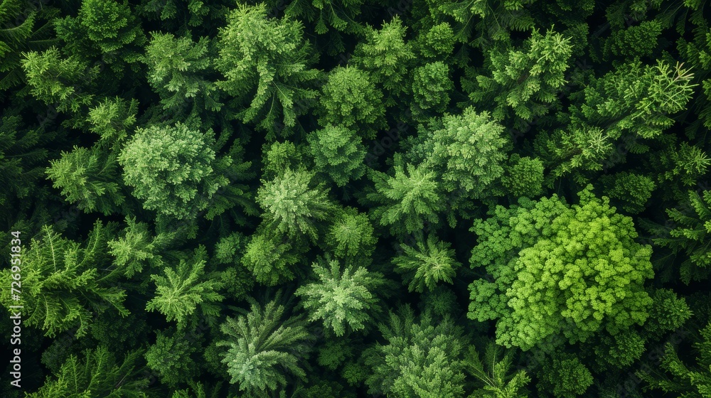 Poster aerial view of a green forest. nature background. 3d rendering - generative ai