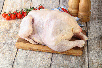 Whole raw chicken for cooking