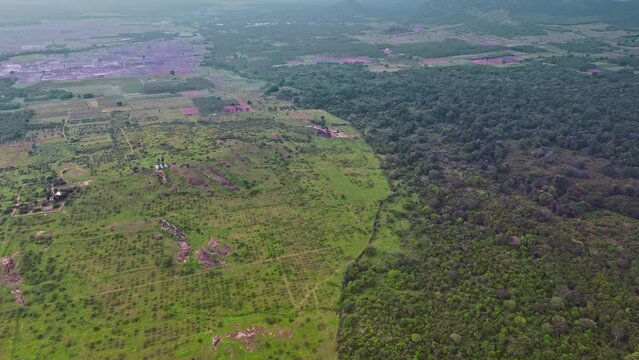 Parallax drone view of a green land with a dense forest in Theni, Tamil Nadu.