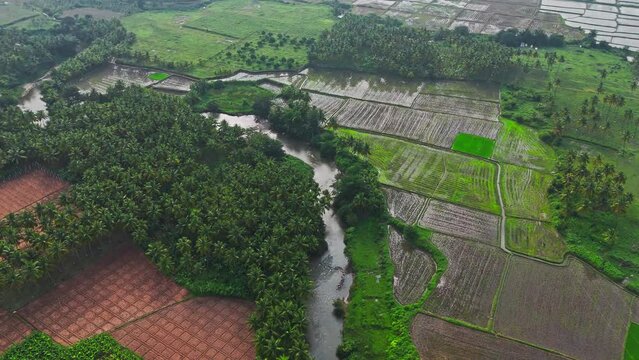 Rotating aerial view of agricultural fields surrounded by trees and lake dividing area during rainy evening in Theni, Tamil Nadu.