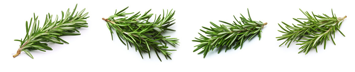 Fototapeta premium Rosemary leaf set isolated on white.