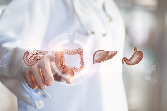 The physician selects the colon in the Digestive System interface.
