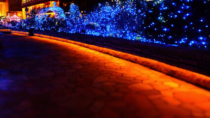 イルミネーションのある幻想的な歩道