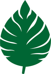 vector leaf element in green color vector