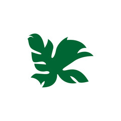 vector leaf element in green color vector