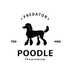 vintage retro hipster poodle  logo vector outline silhouette art icon