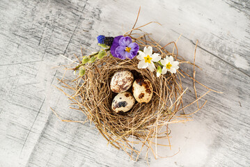 Easter nest with spring flowers