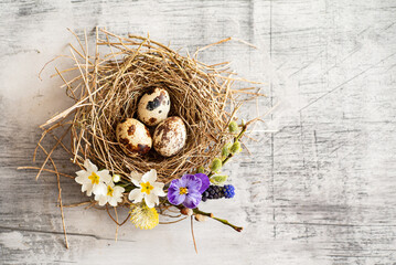 Easter nest with spring flowers