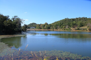 秋の県立フラワーセンター(兵庫県加西市)の亀ノ倉池