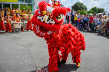 Chinese New Year lion dance. Free to public street performance. Unrecognizable audience and performers in the background. Auckland.  - obrazy, fototapety, plakaty