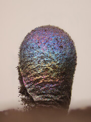 Lamproderma zonatum, a nivicolous slime mold from Finland, microscope image of sporangia