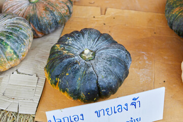Pumpkin for sale at market stall