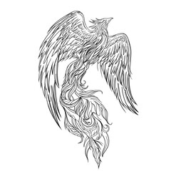 Phoenix outline tattoo design