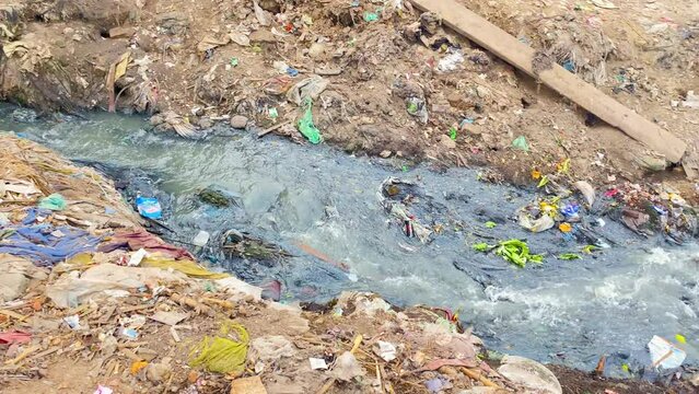Sewerage spews out of pipe surrounded by garbage and flows along a filthy mud bank past a scavenging dog into a river in Bangladesh