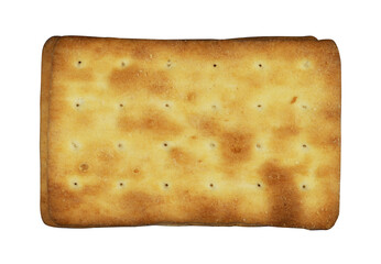 delicious crackers isolated. tasty cheese cookie