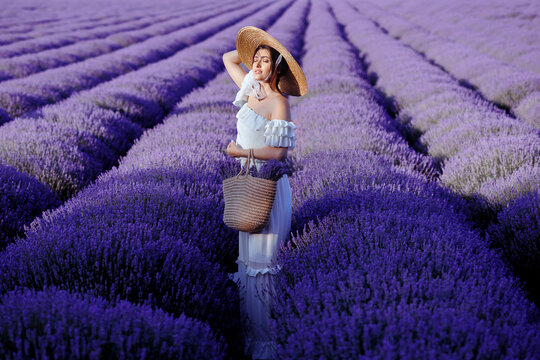 Woman lavender field. Young girl with a basket of lavender flowers in a lavender field sunse