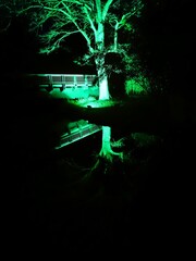 Mystisch grüner beleuchteter Braum vor einer Brücke tief ins Wasser spiegelnd bei Nacht
