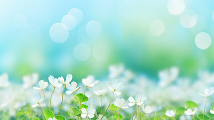 Fototapeta na wymiar spring background with white flowers, Little white flowers . White field flowers in sunlight. soft selective focus, ethereal beauty blurred art abstract spring background