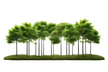 a high quality stock photograph of a Eco nature trees growth standing isolated on a white background