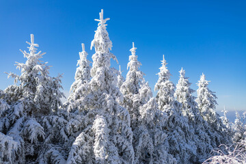snowscene mountain