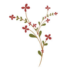 - [ ] Minimal drawn floral line art. Bouquets. Trendy elements of wild and garden plants, leaves, flowers, herbs. Illustration for tattoo, invitation, save the date
