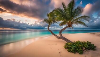 Obraz premium tropical beach, sand, sea, photography backdrop, wedding backdrop, maternity backdrop