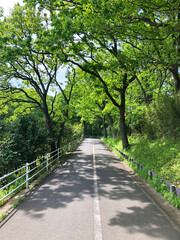 初夏の自然公園