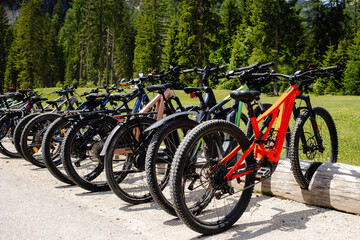 A Collection of Various Bicycles Parked in a Beautiful Forest Setting
