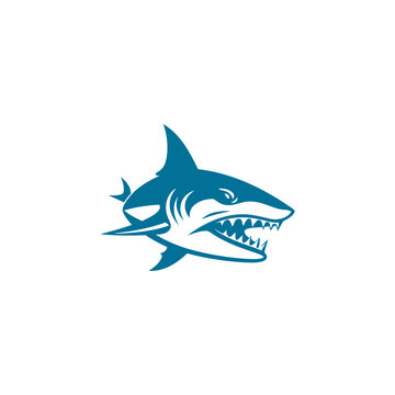 Shark logo design vector template