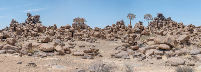 Quiver trees in Dolerite boulders swarm at Giants Playground, Keetmansoop, Namibia