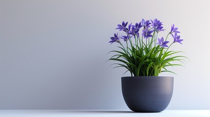 Beautiful fresh flower plants in simple pots With a clean white background. This image captures the simplicity and beauty of nature. By emphasizing the bright colors of flowers against a pure backdrop