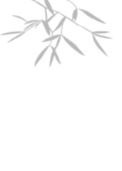 Obraz premium Blurry Grey Bamboo and Tree Branch Illustration with Leaves in Nature-themed Hand drawing Design for Summer and Spring Seasons, Floral Patterns and Silhouettes, perfect for Artistic Decorations.