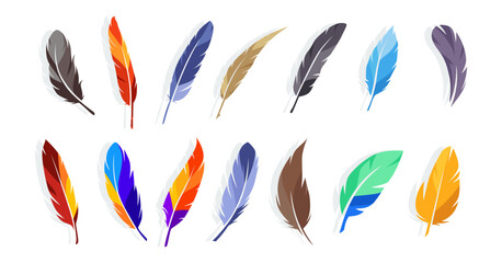 Collection of vector illustrations of colorful feather symbols. bird wing feathers. brightly colored feather symbol