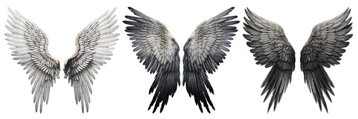 Set of white and black wings isolated on a transparent background. Close-up of wings overlay. An element to be inserted into a design or project.