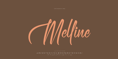 signature Font Calligraphy Logotype Script Brush Font Type Font lettering handwritten	
