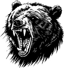 furious bear head tattoo illustration, isolated vector design,