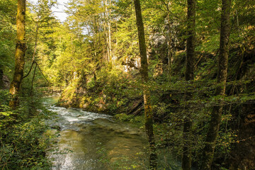 Fototapeta na wymiar The Kamacnik River in Kamacnik Kanjon, Primorje-Gorski Kotar County, north west Croatia. August