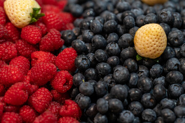 organically grown raspberries and blackberries