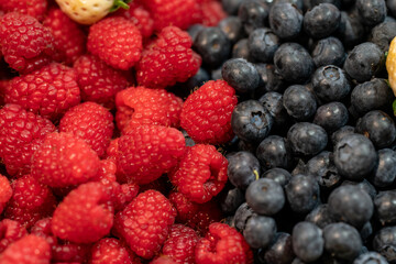 detail of organically grown raspberries and blackberries