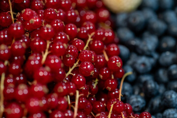 detail of currants with black cranberries