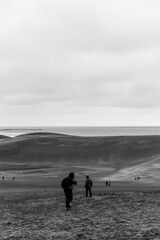 Dunes along the Sea of Japan