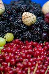 detail of blackberries and currants