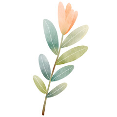 Obraz premium Watercolor leaves-1